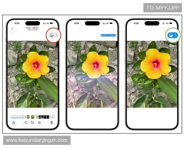 探索Kaiyun开云入口的多种登录方式，确保玩家快速安全地进入游戏世界